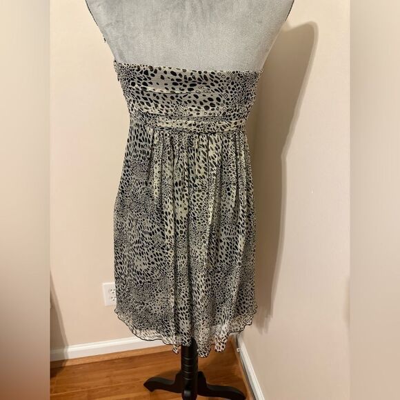 Express Dress - Picture 2 of 7